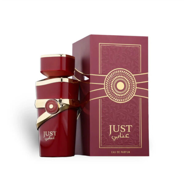 ادکلن فرگرانس ورد (Fragrance World) مدل JUST عنابی حجم 100میل